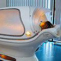 Спа-капсула ALPHA LED OXY LIGHT SPA
